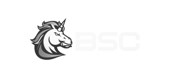 bsc-station
